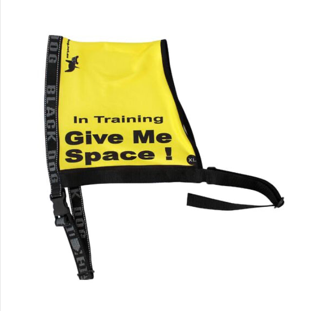 Give me Space - In Training - Vest image 0
