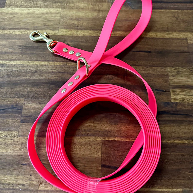 Lead 5m Hot Pink Biothane Beach - Brass Fittings image 0