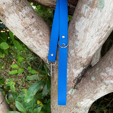 Biothane Candy Blue Lead 1.5M image 0