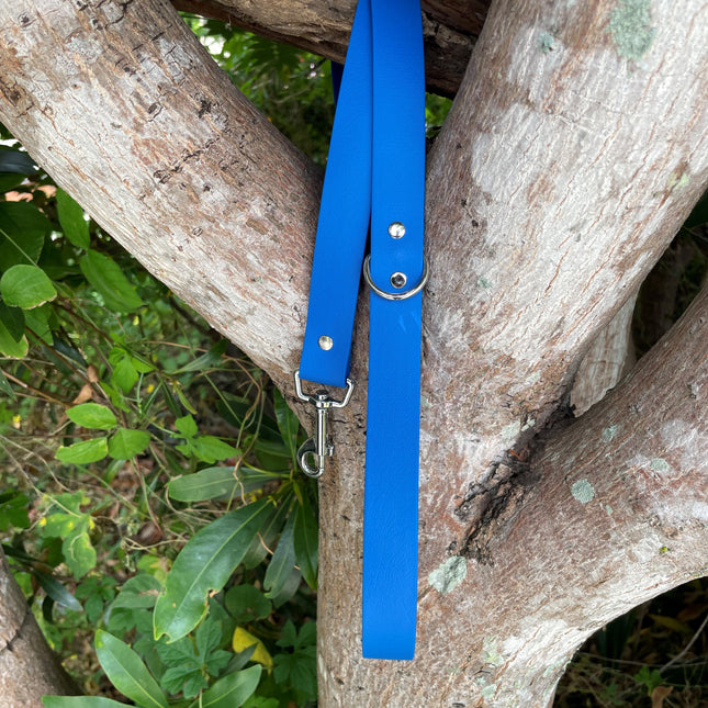 Biothane Candy Blue Lead 1.5M image 0