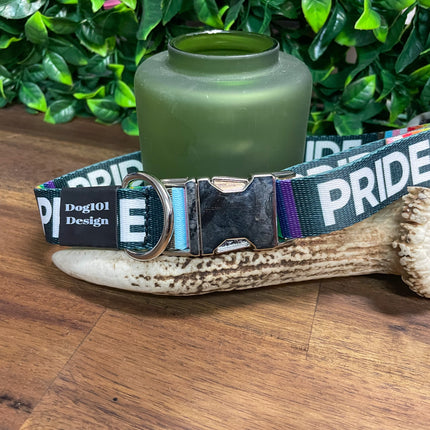 Pride Metal Clip Collar image 0