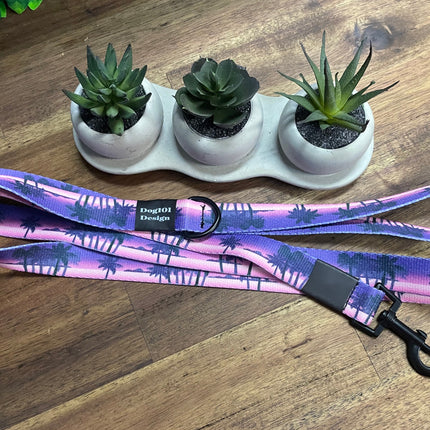 Adult Dog Fancy Sunset 1.5m x 25mm Lea image 1