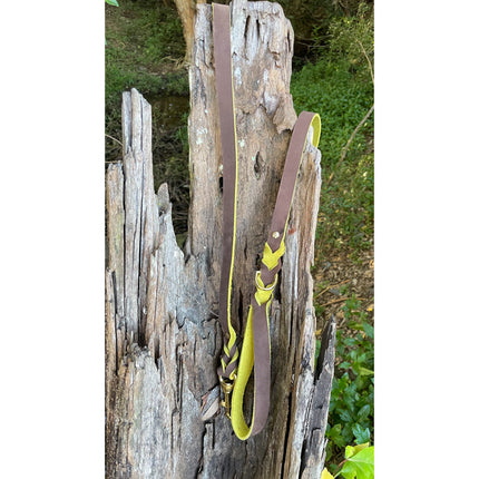 Yellow Two Tone Double Braid Leather Lead image 1