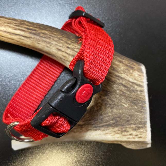 Plain Red collar (Small/Puppy) image 0