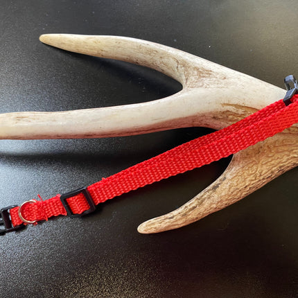 Plain Puppy Collar Red image 0