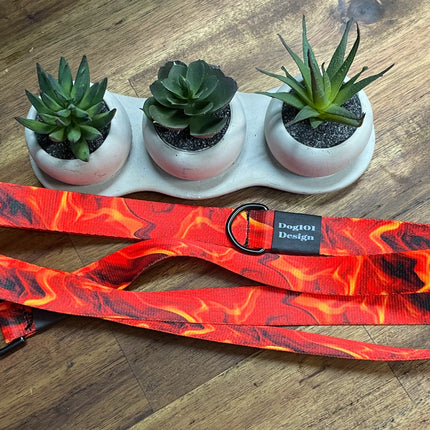 Adult Dog Fancy Flame 1.5m x 25mm Lead image 1