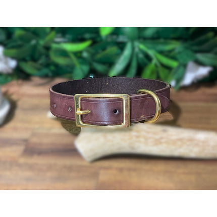 Brisbane Tan Leather Collar - Small Dog and Puppy image 0