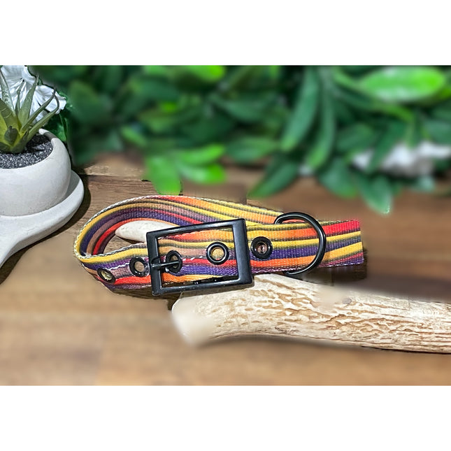 Stripe Buckle Collar image 0