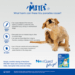 Nexgard Spectra Small Dog - 6 Pack image 5