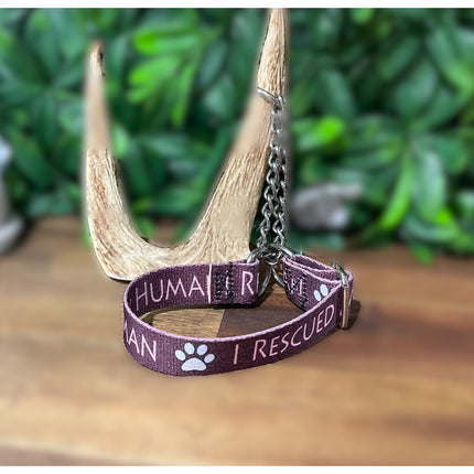 Martingale I rescued my human Design image 0