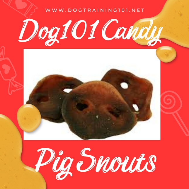 Pig Snouts image 0