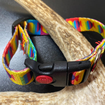 Rainbow Heart Webbing Collar (Small/Puppy) image 0