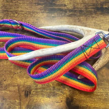 Adult Dog Plain Rainbow 1.5m x 25mm Lead image 0