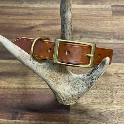 Whiskey Tan - Small Dog and Puppy image 0