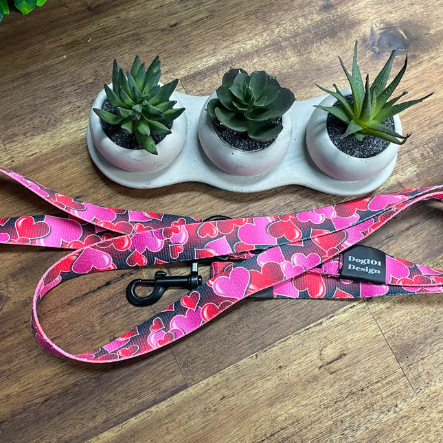 Adult Dog Fancy Red Heart 1.5m x 25mm Lead  image 1