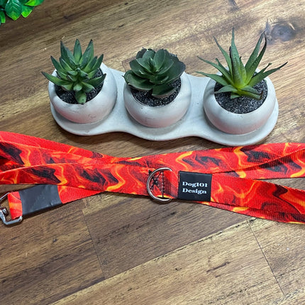 Adult Dog Fancy Flame 1.5m x 25mm Lead image 0