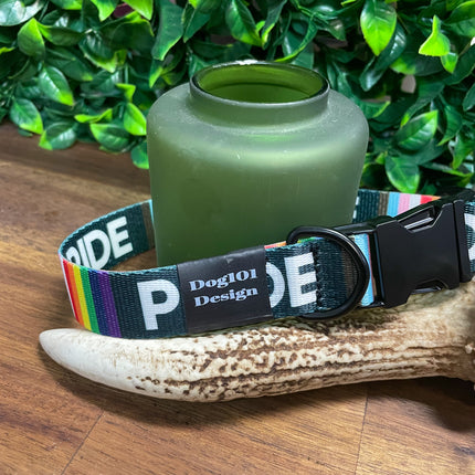 Pride Metal Clip Collar image 1