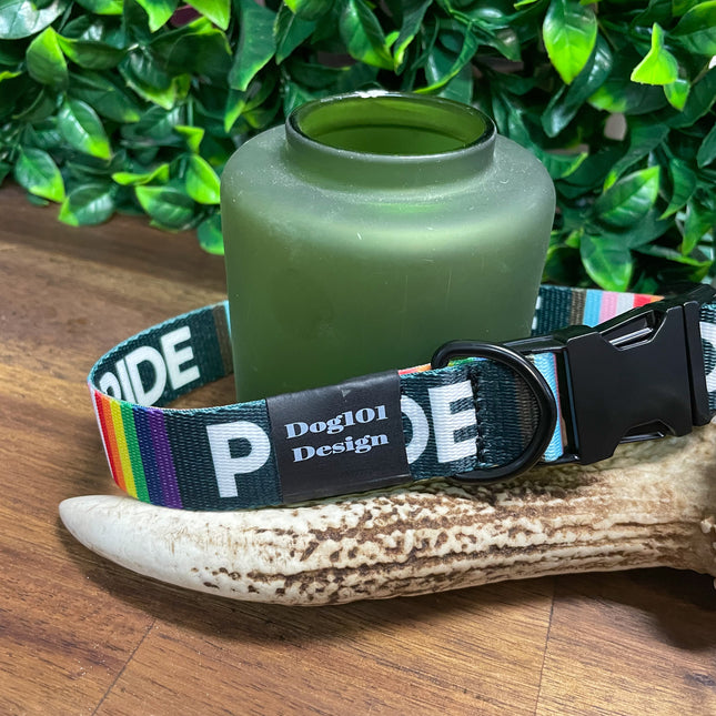 Pride Metal Clip Collar image 1