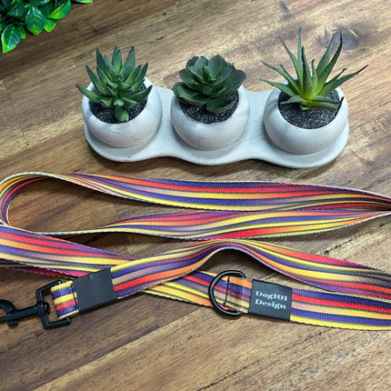 Adult Dog Fancy Stripe 1.5m x 25mm Lead  image 1