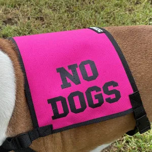 No Dogs Vest image 0