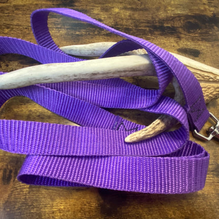 Adult Dog Plain Purple 1.5m x 25mm Lead image 0