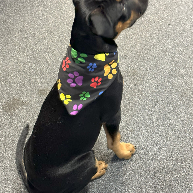 Coloured Paws Bandanna image 0