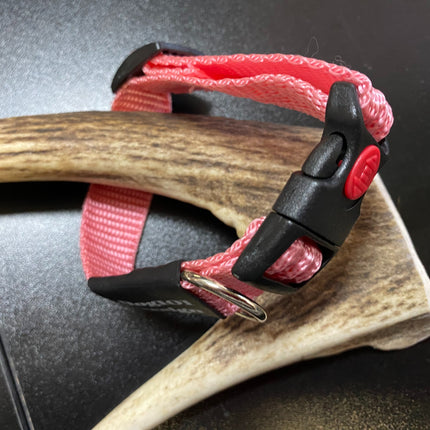 Plain Pink collar (Small/Puppy) image 0