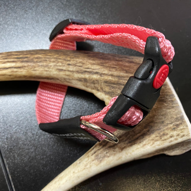 Plain Pink collar (Small/Puppy) image 0