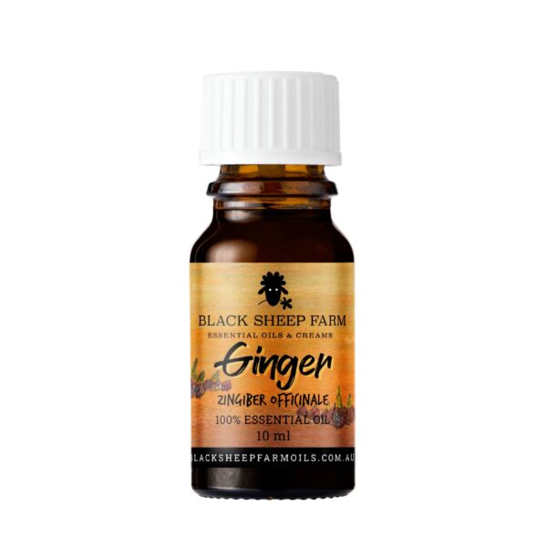 Ginger 100% Essential Oil 10ml image 0