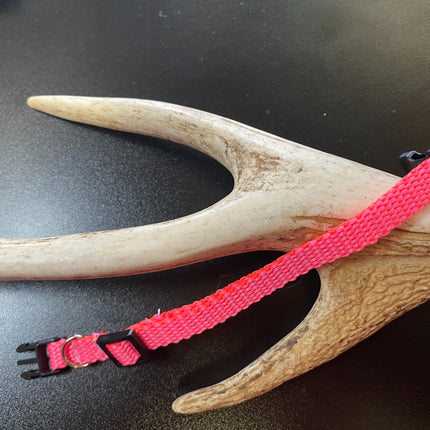 Plain Puppy Collar Pink image 0