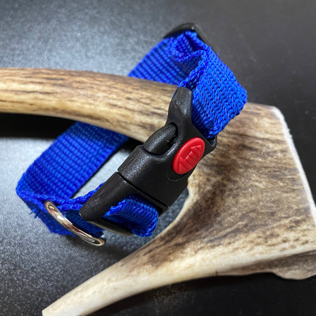 Plain Blue collar (Small/Puppy) image 0