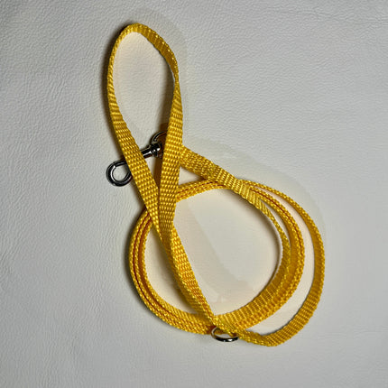 Puppy/Small Dog Yellow 1.2m x 10mm Lead image 0