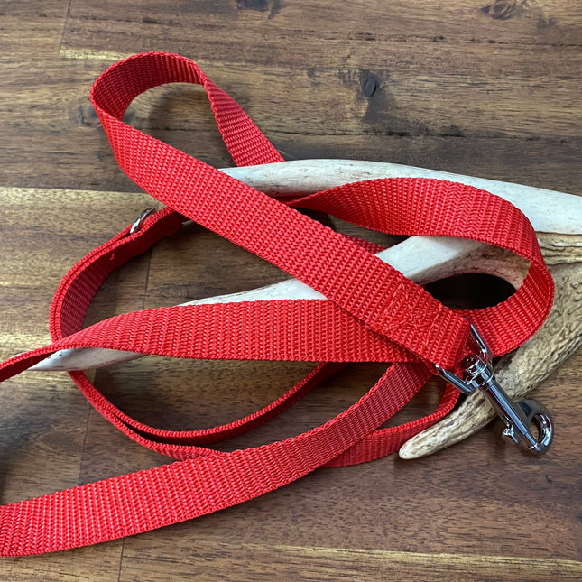 Puppy/Small Dog Plain 1.2m x 20mm Red Lead image 0