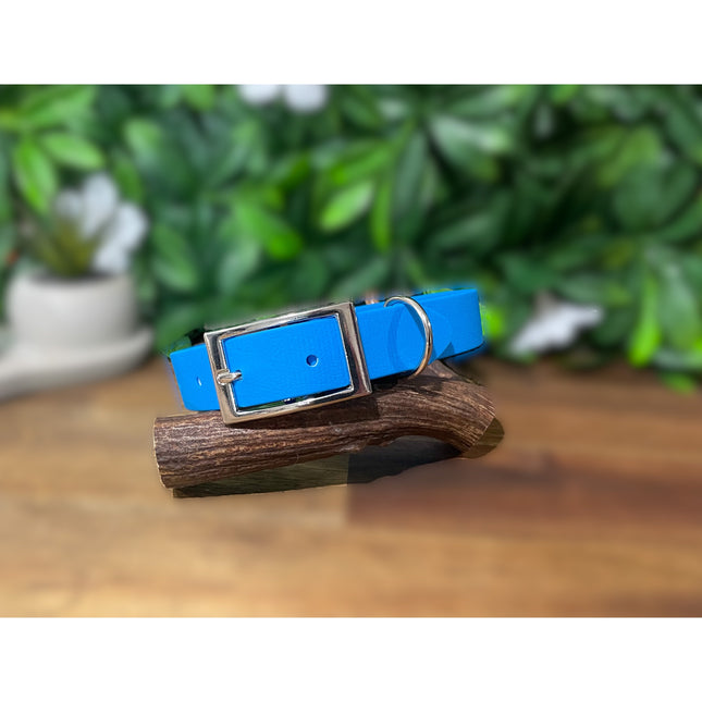 Sky Blue Biothane Collar image 0