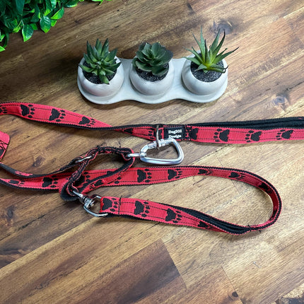 Reactive Fancy Black Paw on Red Lead image 0