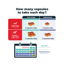 Antinol Plus 180 capsules image 1