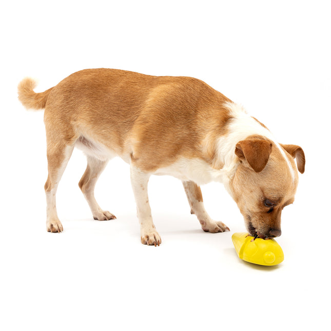 Busy Buddy Frosty Cone image 1