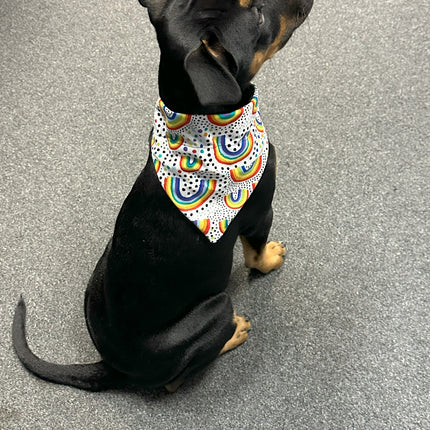 Rainbows Bandanna image 0