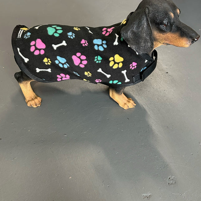 Paw and Bone Indoor Winter Jacket image 0