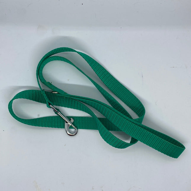 Puppy/Small Dog Plain Emerald 1.2m x 20mm Lead image 0