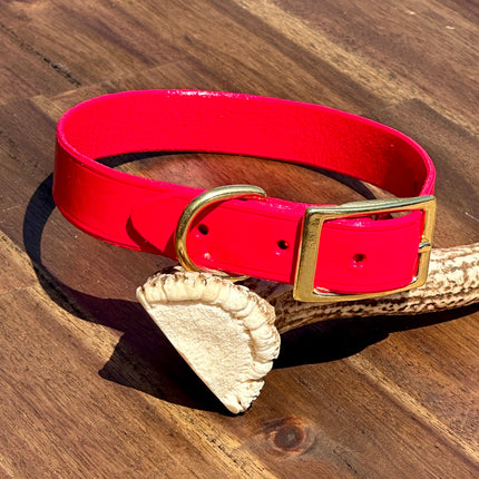 Hand Painted Leather - Jamaican Joy - Small Dog image 0