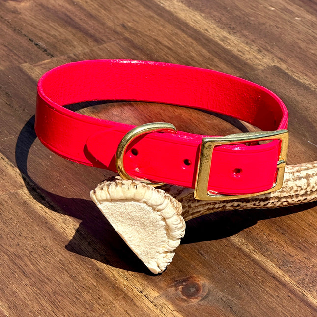 Hand Painted Leather - Jamaican Joy - Small Dog image 0