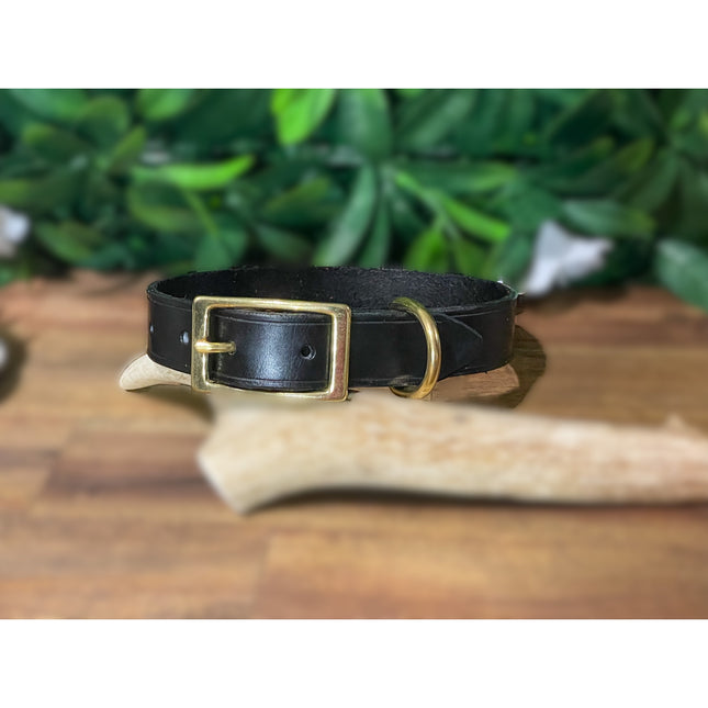 Black Leather Collar - Small Dog and Puppy image 0