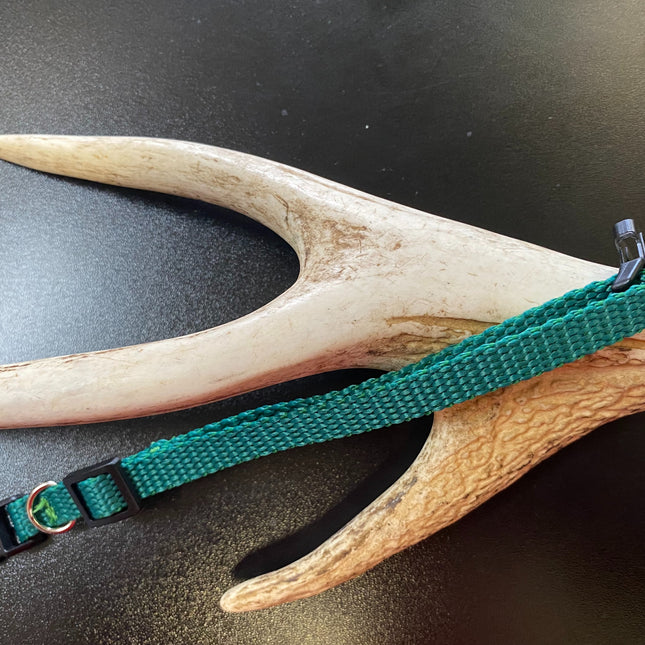 Plain Puppy Collar Green image 0