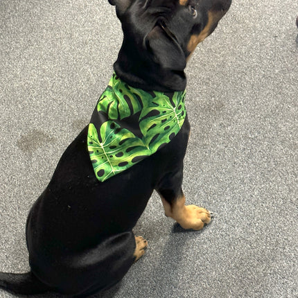 Green Palm Bandanna image 0