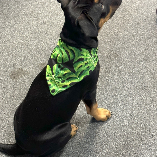 Green Palm Bandanna image 0