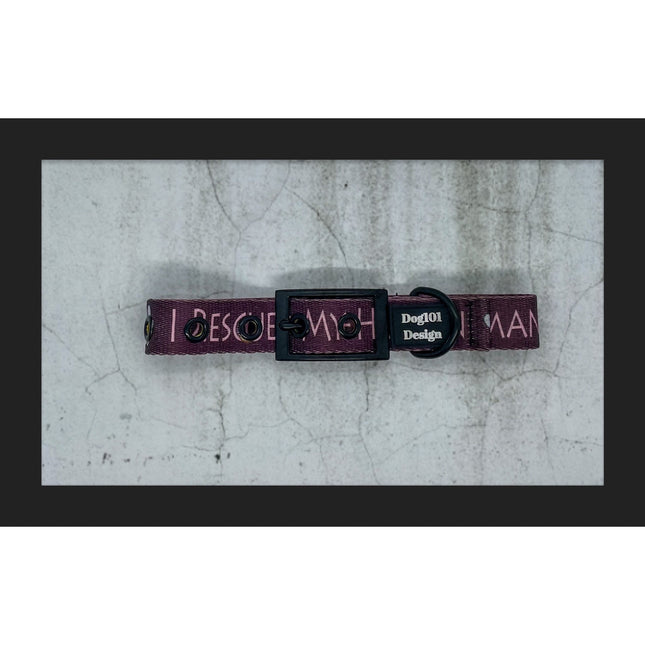 I Rescued my Human Buckle Collar image 0