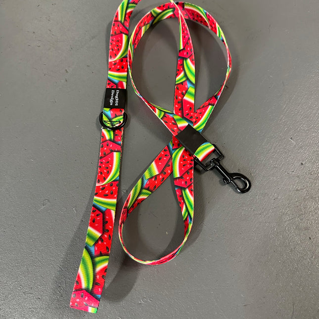 Adult Dog Fancy Watermelon 1.5m x 25mm Lead  image 0