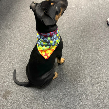 Crazy Triangles Bandanna image 0