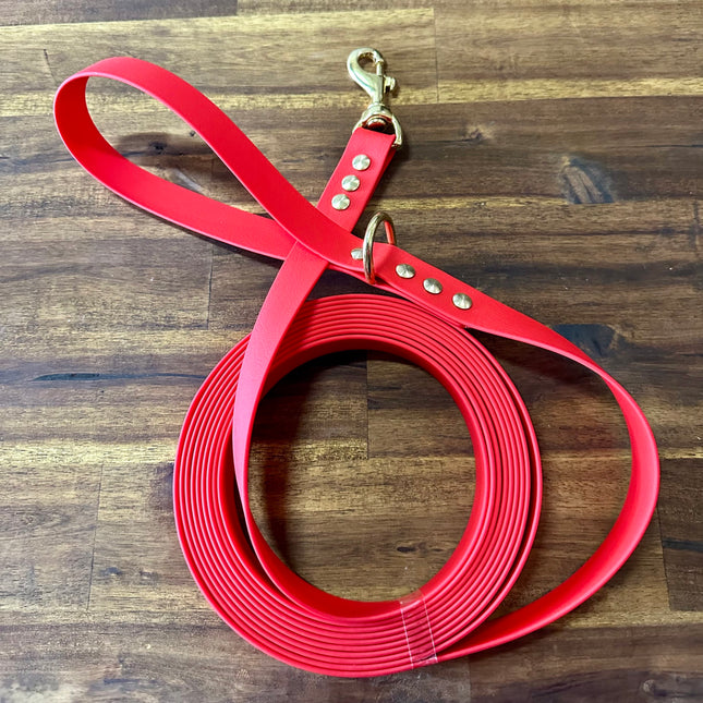 Lead 5m Red Biothane Beach - Brass Fittings image 0